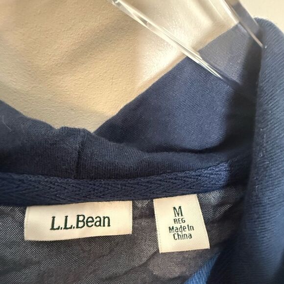 LL Bean Hoodie Multicolor Stripe 1/4 Button LS Rugby Pullover 503604 - Picture 2 of 4